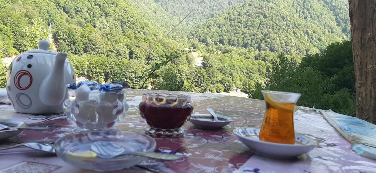 Gabala Mountains Villa Exteriör bild